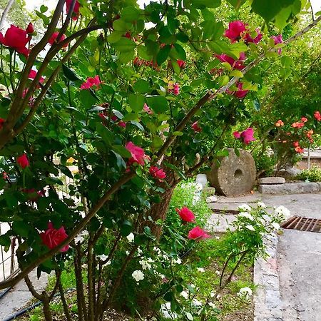 Apartmani Peric Bar Εξωτερικό φωτογραφία