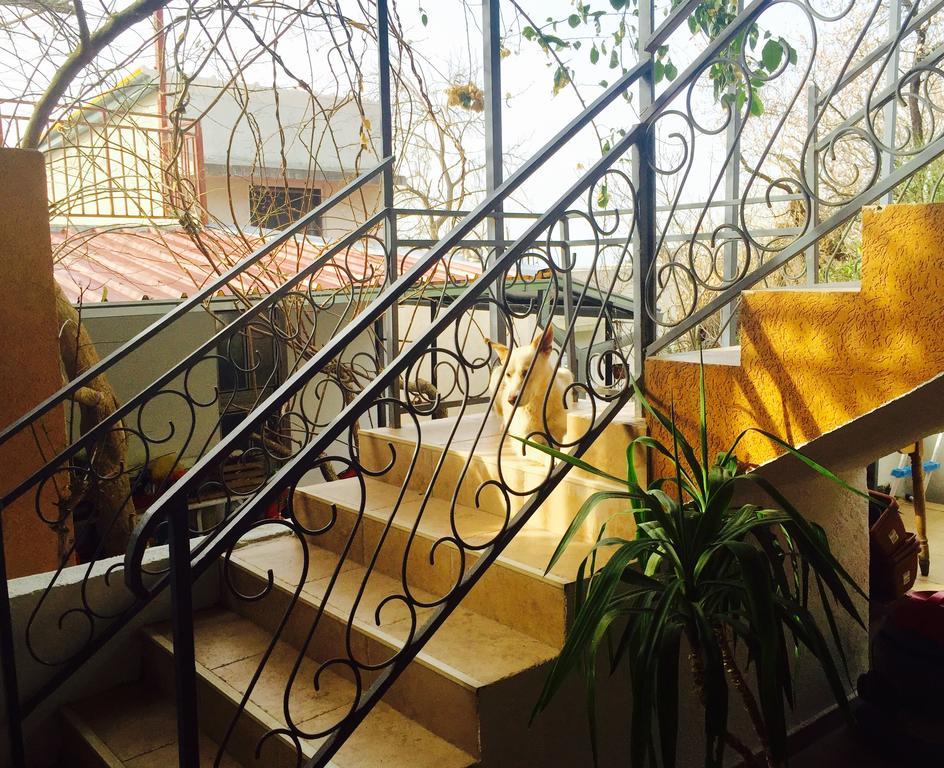 Apartmani Peric Bar Εξωτερικό φωτογραφία