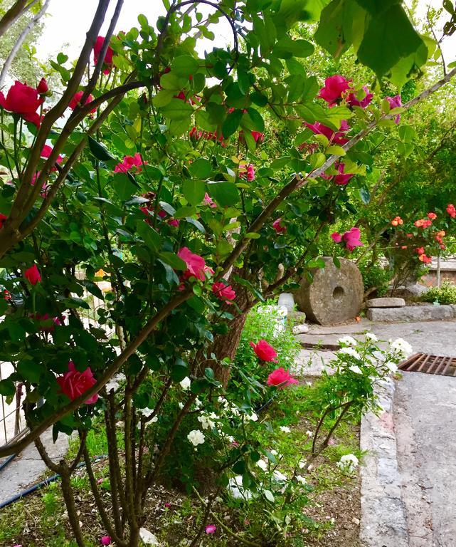 Apartmani Peric Bar Εξωτερικό φωτογραφία